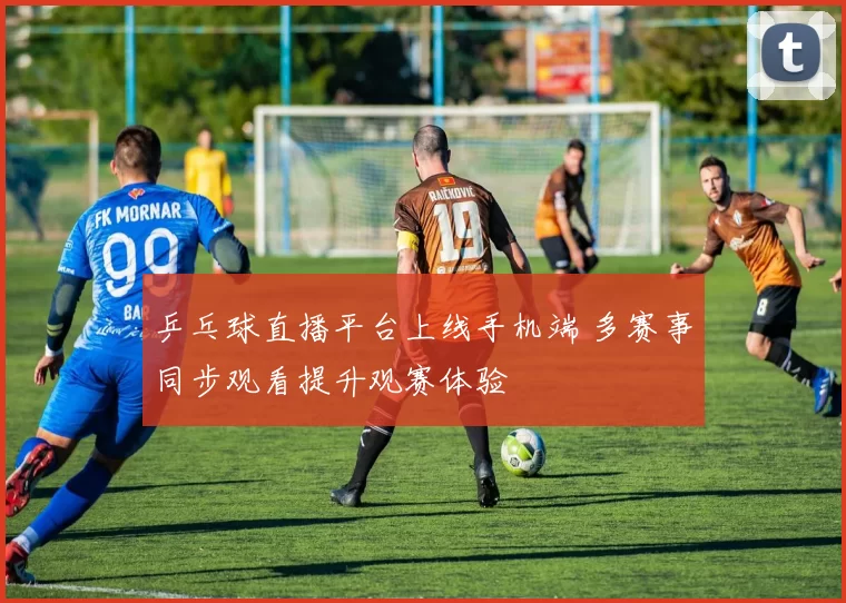 乒乓球直播平台上线手机端 多赛事同步观看提升观赛体验